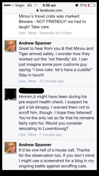 message about scruffing cats