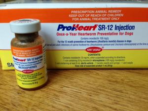 heartworm dogs flea injection prevention worm sr12 protection tick human heartworms prevents only dog walkervillevet au