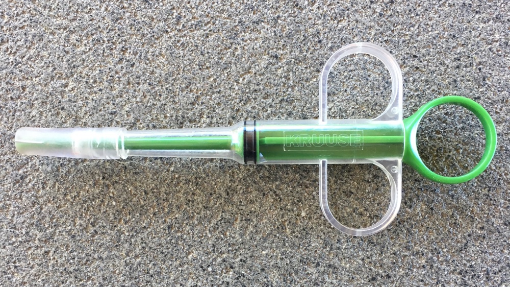 Ways To Give Cat Medicine Other Than Pills Walkerville Vet