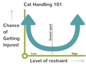 holding cats properly