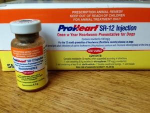 proheart heartworm injection