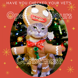 christmas opening hours