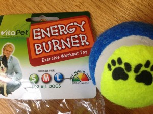 cheap dog toy