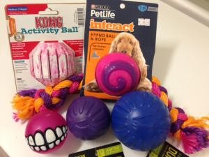 dog chew toys