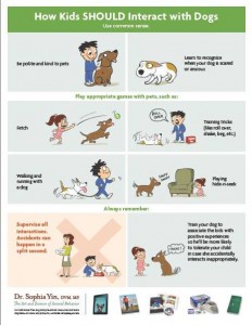 kids and dogs