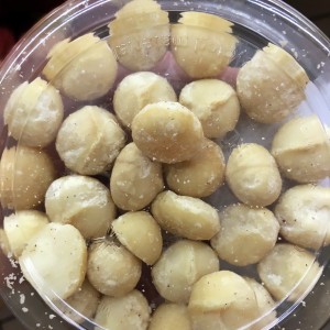 macadamias dog poison