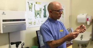vet giving vaccine