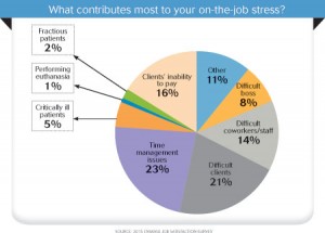 vet stress causes