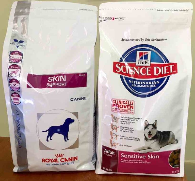 Help! My Dog Is Itchy & Won't Stop Scratching Walkerville Vet