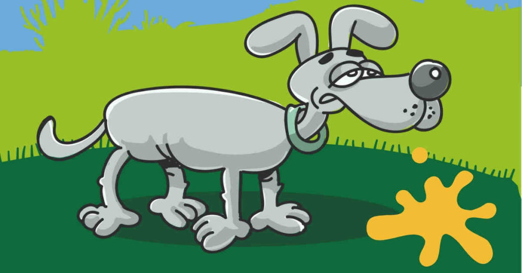 Help! My Dog Is Vomiting Why Dogs Vomit Walkerville Vet