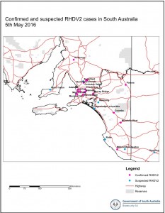 Rabbit calicivirus map