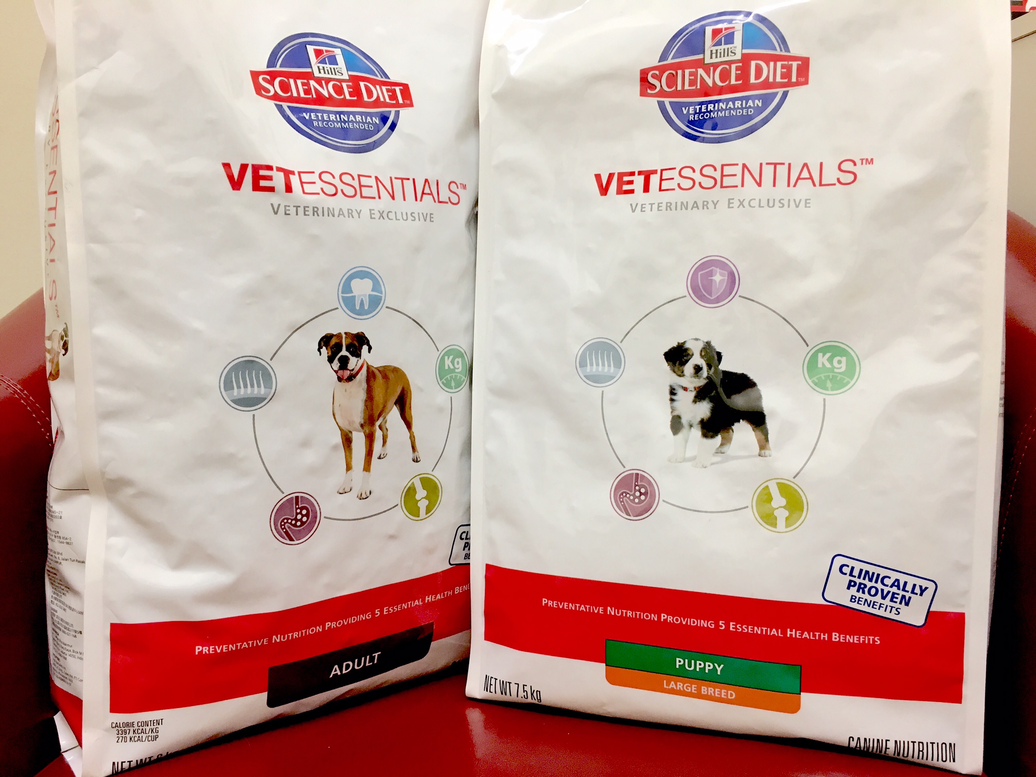 How To Feed Your Puppy Good Dog Foods Walkerville Vet