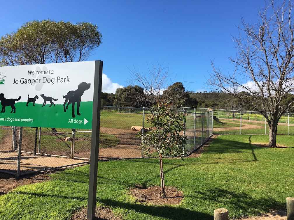47 Adelaide Off Leash Dog Parks List & Map Walkerville Vet