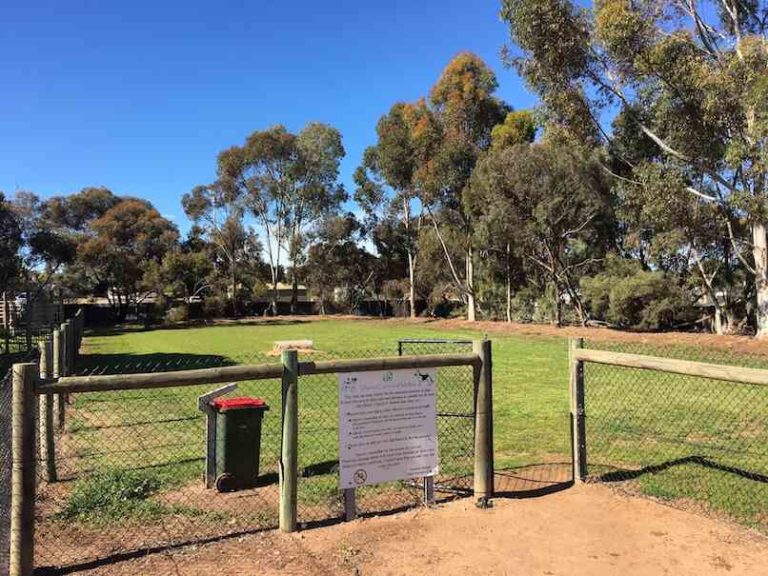47 Adelaide Off Leash Dog Parks List & Map Walkerville Vet