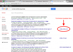google scholar screenshot