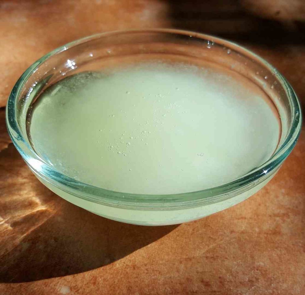 Natural, Herbal & Home Made Treatments For Fleas Walkerville Vet