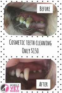 cosmetic teeth clean