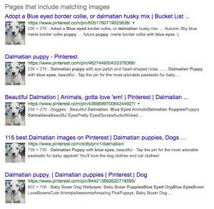 reverse image puppy