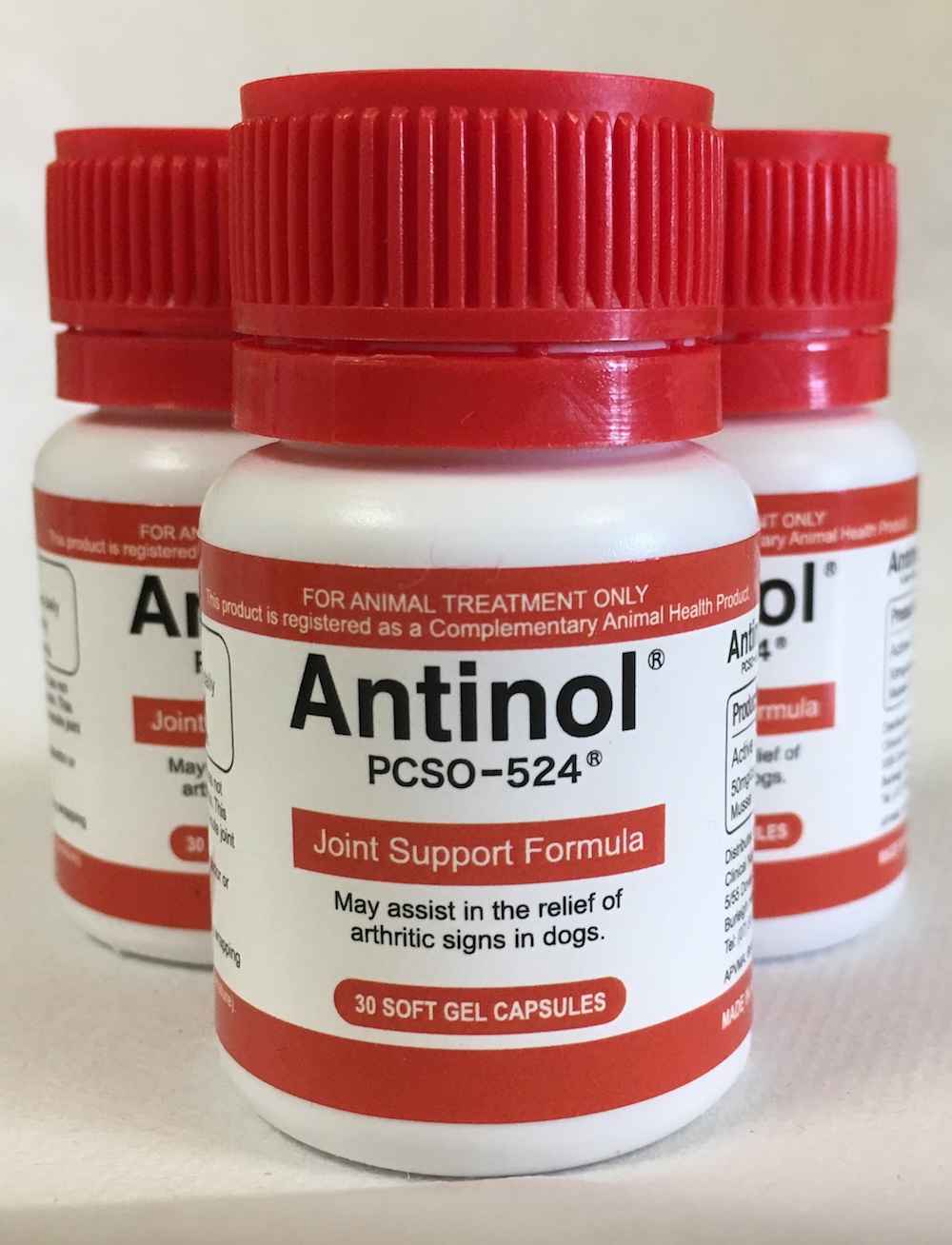 How You Can Help A Dog With Arthritis or Pain Walkerville Vet