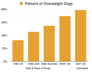prevalence overweight dogs