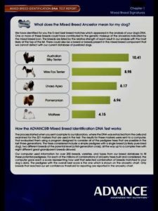 DNA test results