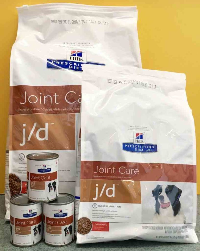 How You Can Help A Dog With Arthritis or Pain Walkerville Vet