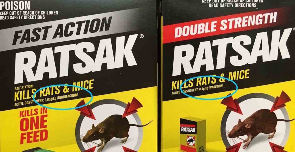 Why Is Rat Poison Dangerous?