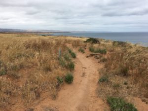 adelaide coastal path