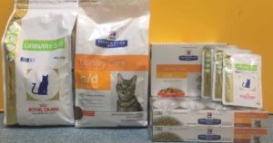 urinary cat foods