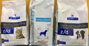 food allergy dog