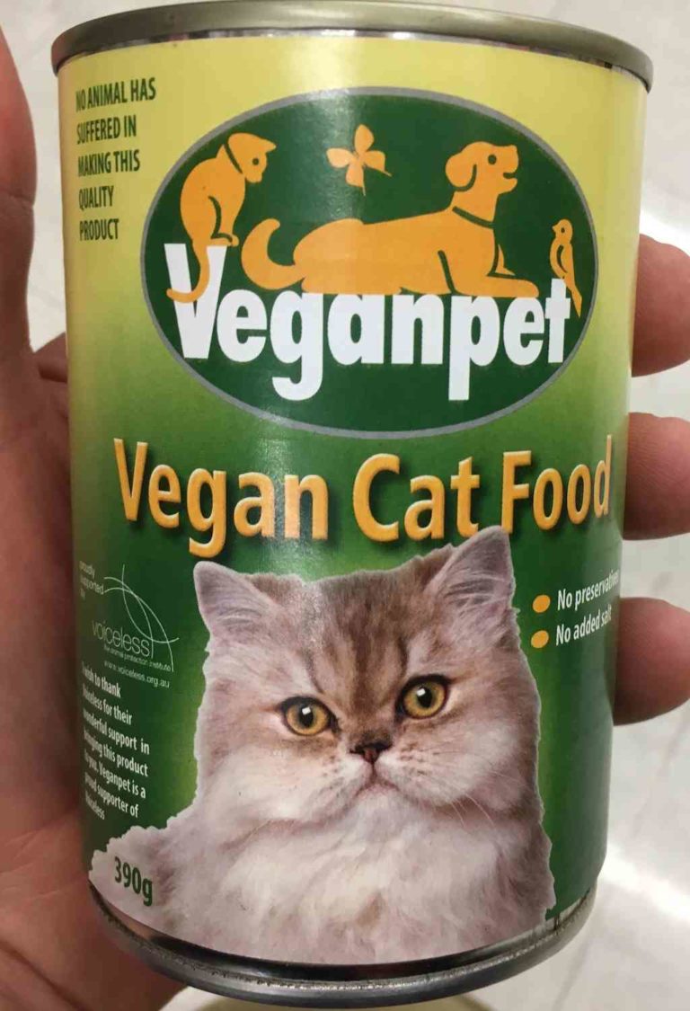 Dog & Cat Vegan Foods In Australia A Review Walkerville Vet