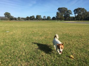 northern victoria park