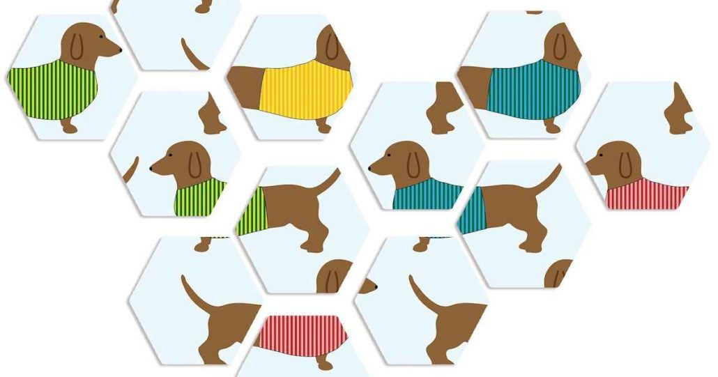 Why Inbreeding Is Harming Purebred Dogs | Walkerville Vet