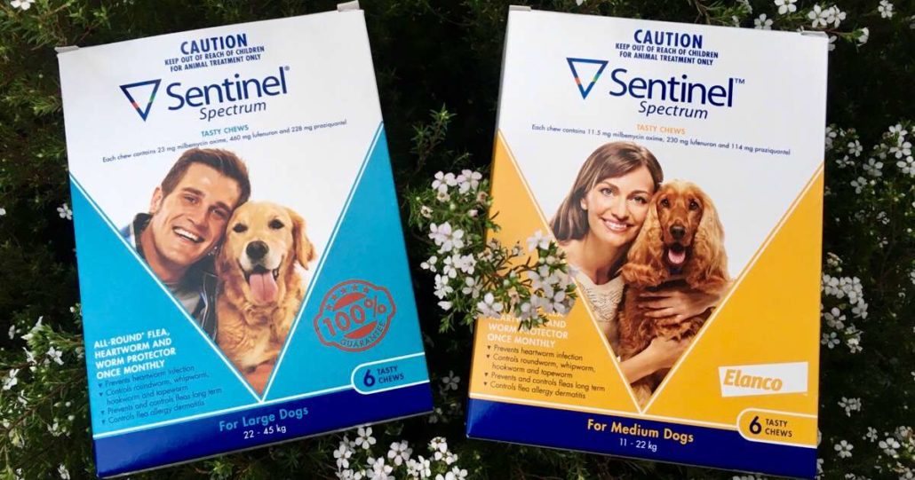 sentinel-flavor-tabs-dog-heartworm-vetrxdirect-pharmacy-51-100