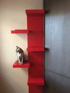 IKEA cat ladder