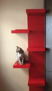 IKEA cat ladder