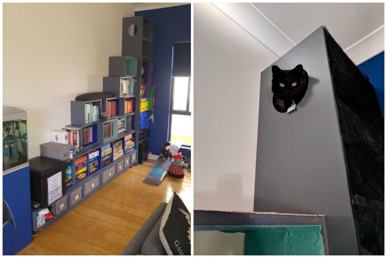 Keeping Indoor Cats Happy Cats Kept Inside Walkerville Vet