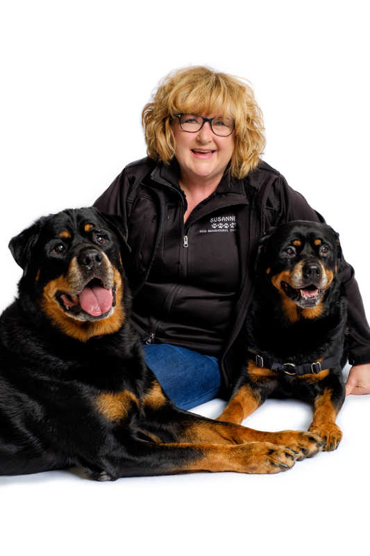 Meet Our Vets & Nurses Adelaide Vet Clinic Walkerville Vet