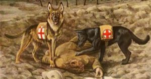 dogs finding war casualty