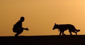 dog trainer recall