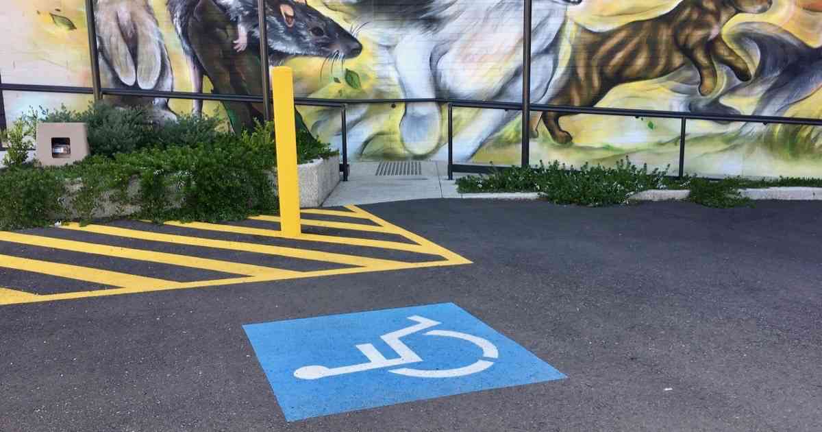 vet accessibility parking