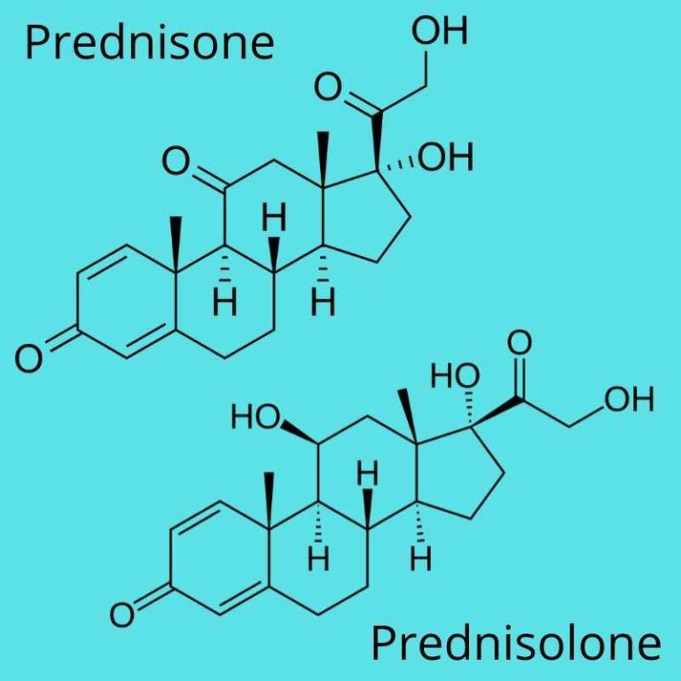 Prednisolone In Dogs Side Effects & Dosage Walkerville Vet