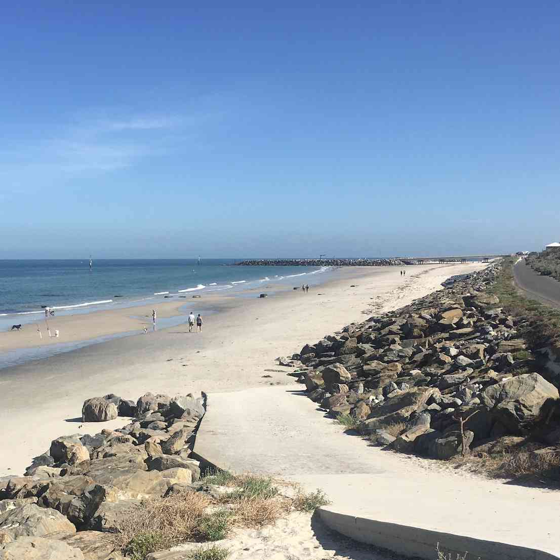 Off Leash Dog Friendly Beaches In Adelaide Walkerville Vet