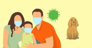 puppy socialisation coronavirus