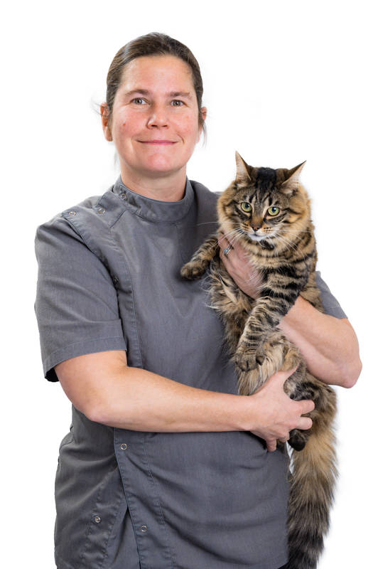 Meet Our Vets & Nurses Adelaide Vet Clinic Walkerville Vet