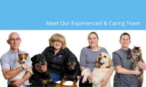 walkervill vet team