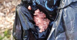 meat dog bait