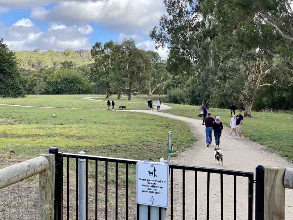 47 Adelaide Off Leash Dog Parks List & Map Walkerville Vet