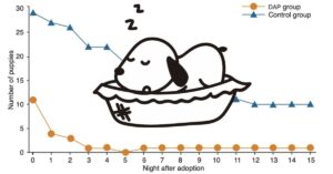 puppy sleeping overnight