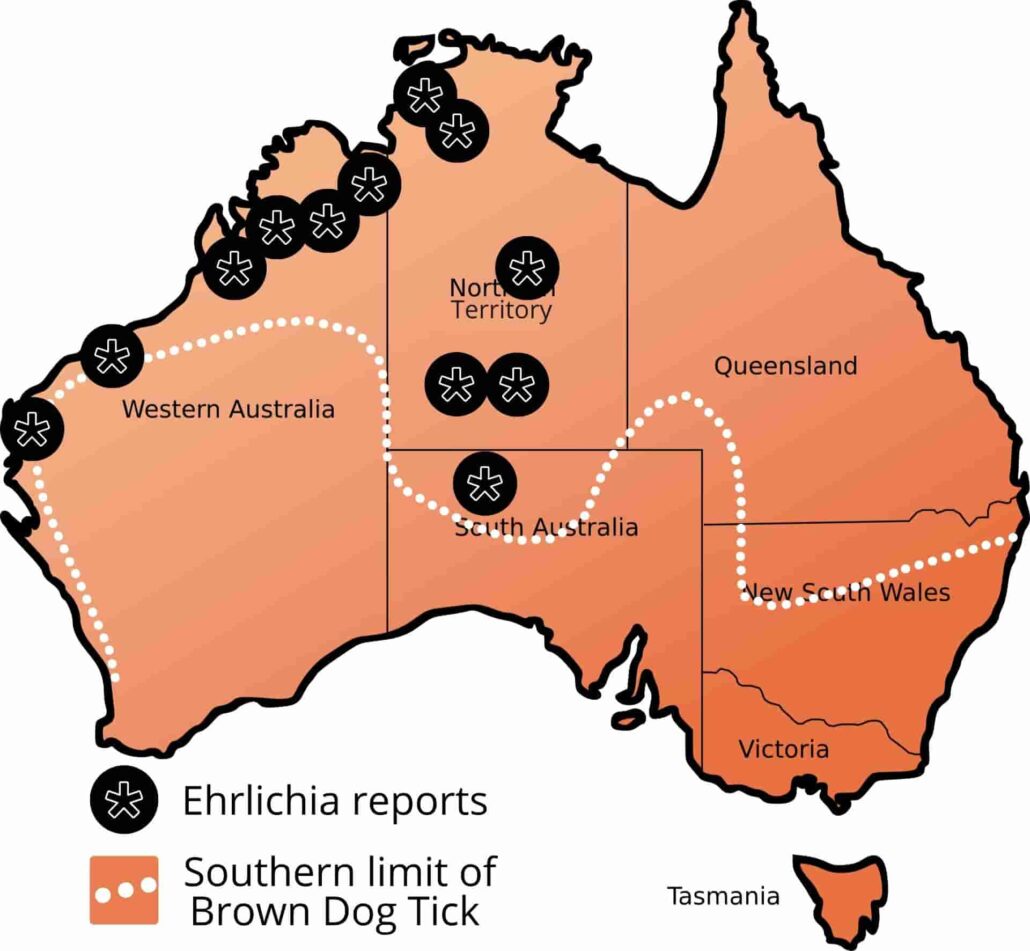 ehrlichiosis australia map